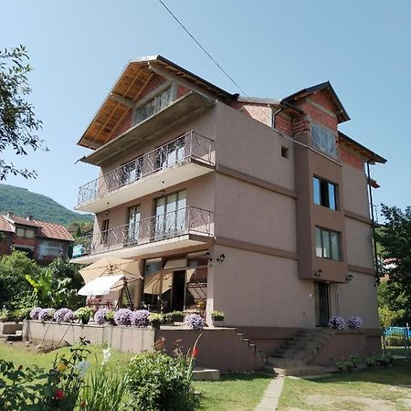 Guest House Dimitrije Нишка-Баня Экстерьер фото