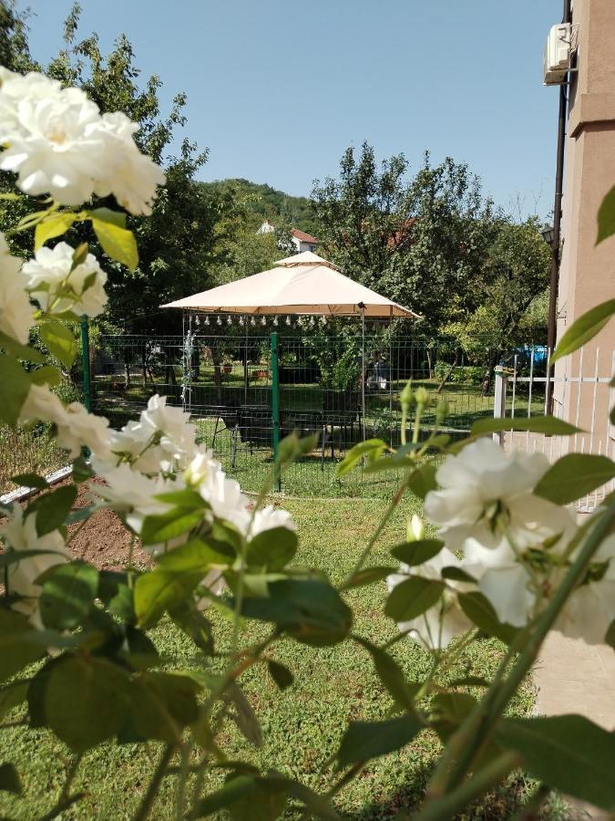 Guest House Dimitrije Нишка-Баня Экстерьер фото