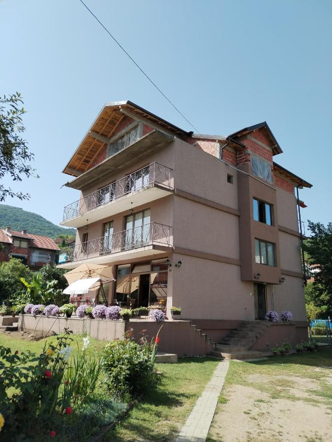 Guest House Dimitrije Нишка-Баня Экстерьер фото